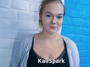 KaliSpark