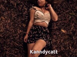 Kanndycatt