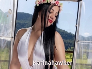Karinahawker