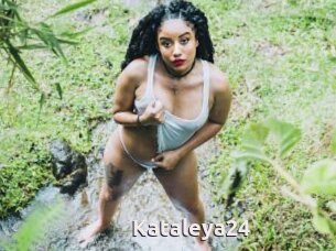 Kataleya24