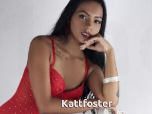 Kattfoster