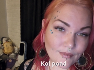 Koi_pond