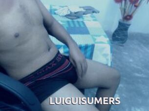 LUIGUISUMERS