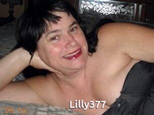 Lilly377