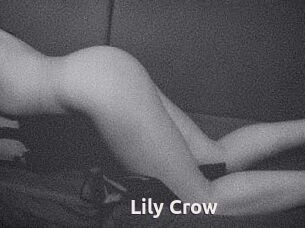 Lily_Crow