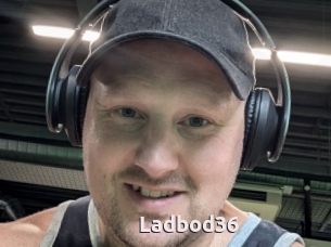 Ladbod36