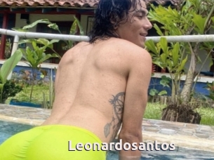 Leonardosantos