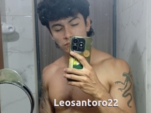 Leosantoro22