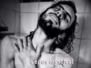 Lepus_mystical