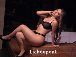 Liahdupont