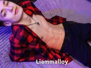 Liammalloy