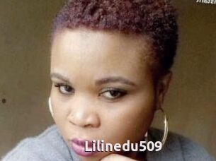 Lilinedu509