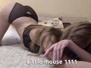 Little_mouse_1111