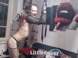 Littledoggy