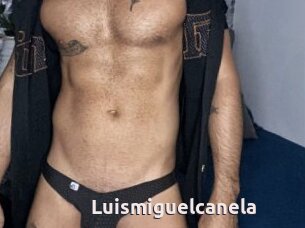 Luismiguelcanela