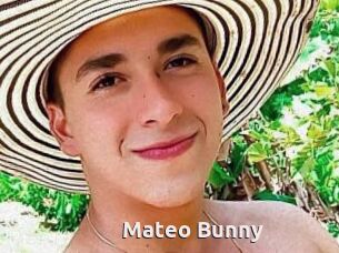 Mateo_Bunny