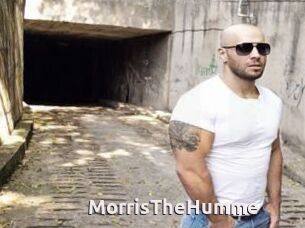 MorrisTheHumme
