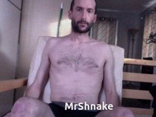 MrShnake