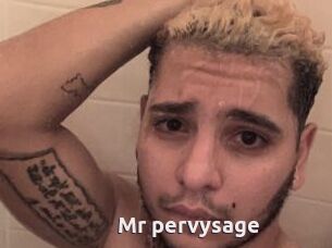 Mr_pervysage