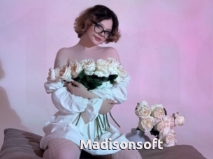 Madisonsoft