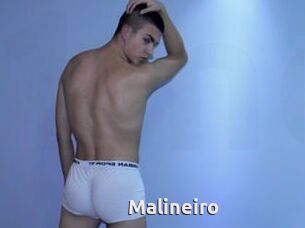 Malineiro