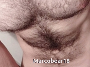 Marcobear18