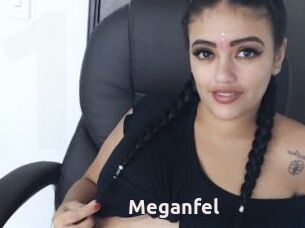 Meganfel