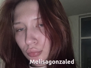 Melisagonzaled