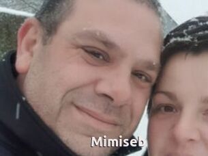 Mimiseb