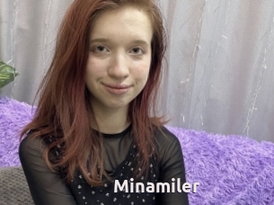 Minamiler