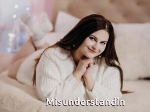 Misunderstandin