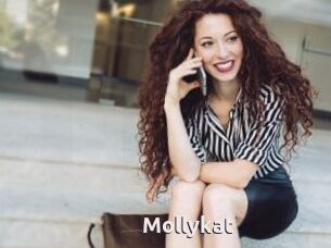 Mollykat