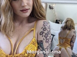 Morganallama