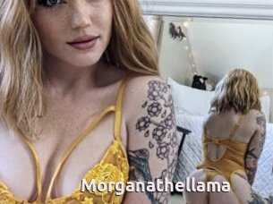 Morganathellama