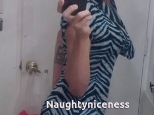 Naughtyniceness