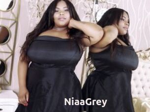 NiaaGrey