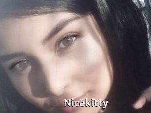 Nicekitty