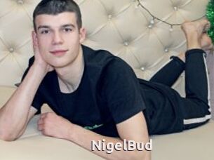 NigelBud