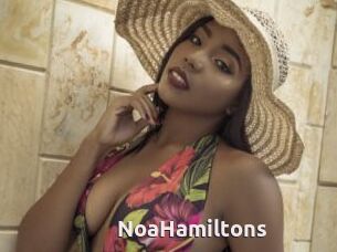 NoaHamiltons