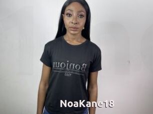 NoaKane18