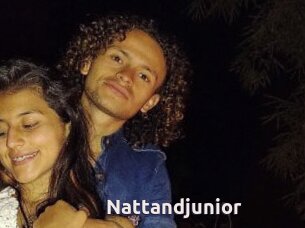Nattandjunior