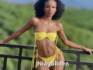 Niagollden