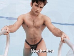 Noaheden
