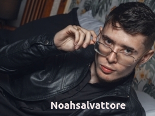 Noahsalvattore