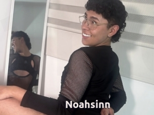 Noahsinn