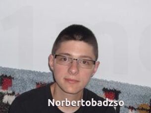 Norbertobadzso