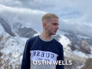 OSTIN_WELLS