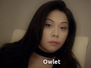 _Owlet_