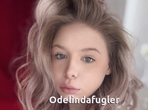 Odelindafugler