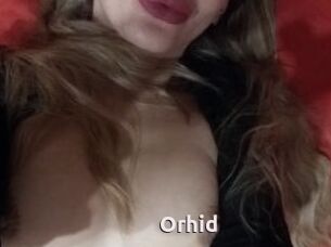 Orhid